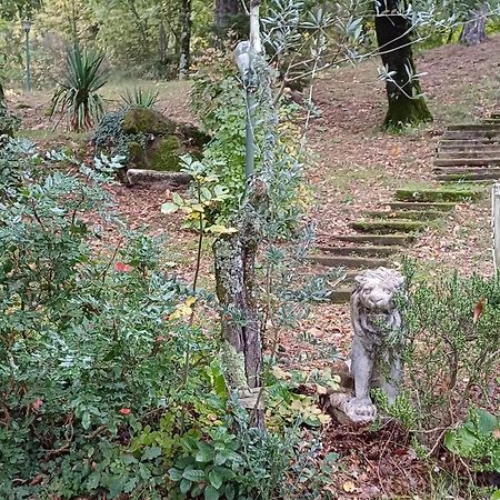 Alloggio Villa Manini 斯卡尔佩里亚 外观 照片